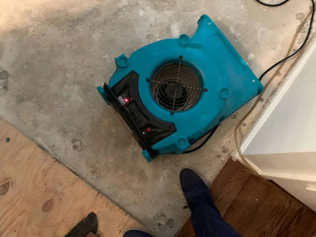 Air mover drying subfloor during Leak Detection & Repair in Cloverdale